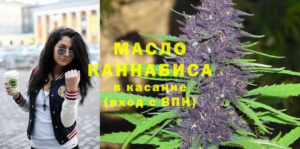 амф Бородино