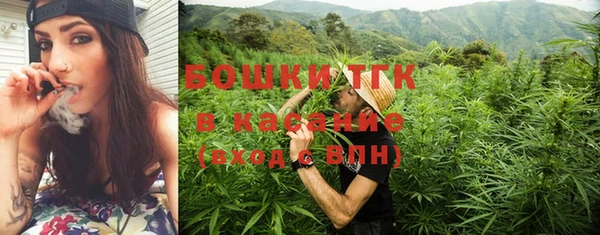 стаф Ростов