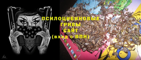 сатива Верхнеуральск