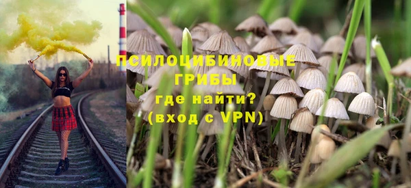 прущая мука Богданович