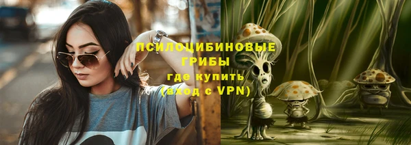 твердый Бронницы