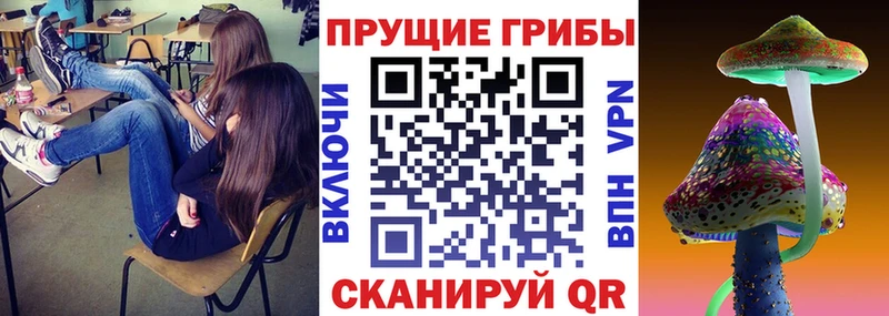 Псилоцибиновые грибы прущие грибы Кедровый